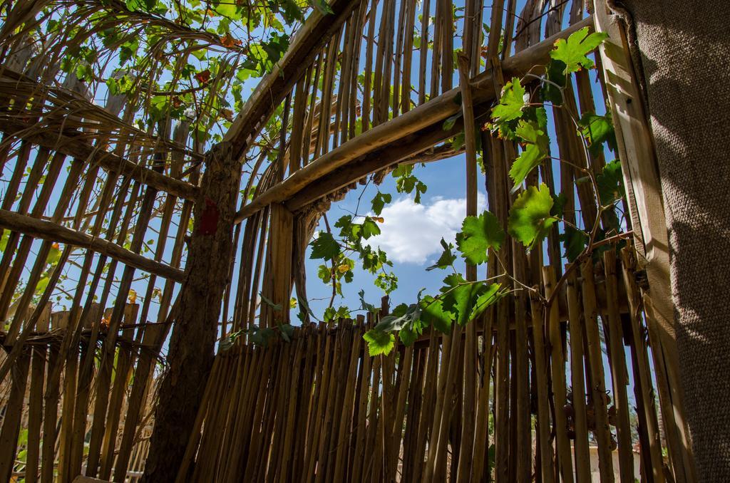 Kfar Hanokdim - Glamping & Camping Arad Luaran gambar